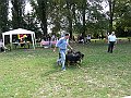 img 197
